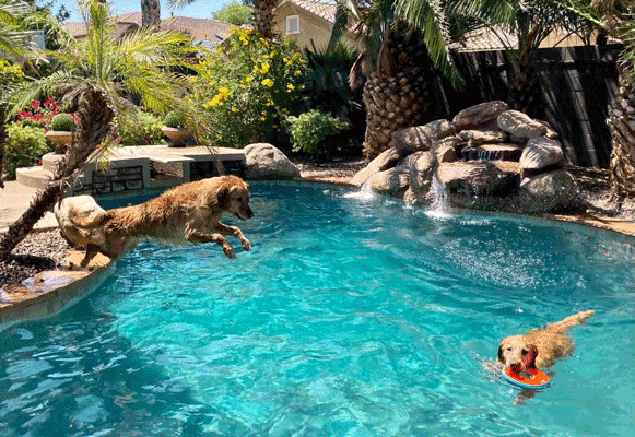 A guide to keeping cool in Philly pools - WHYY